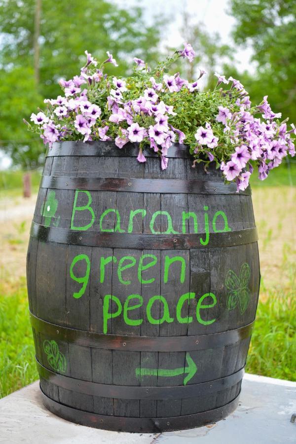Baranja Peace Apartment *