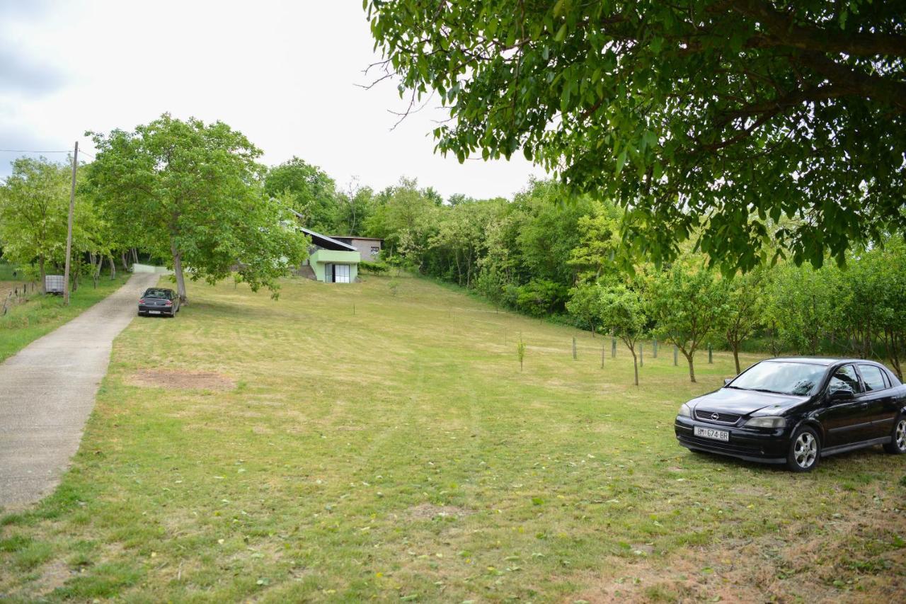Baranja Peace Apartment Draz