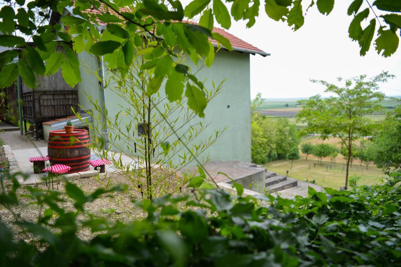 Baranja Peace Draž