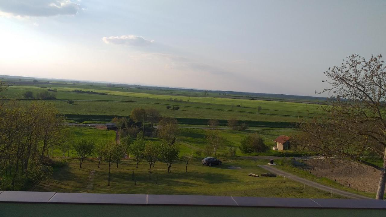 Baranja Peace Draž